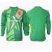 Manchester United Keeper Tredjedrakt 2024-25 Langermet